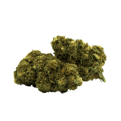 Fleurs CBD Boo Berry Greenhouse _ Chanvre Sativa Naturel Origine Italie