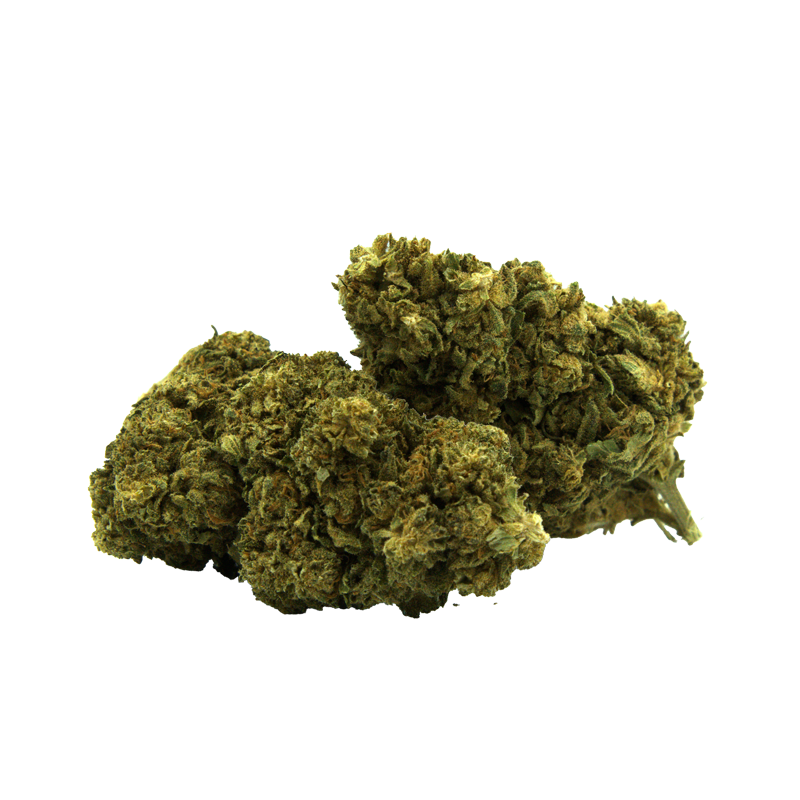 Fleurs CBD Boo Berry Greenhouse _ Chanvre Sativa Naturel Origine Italie