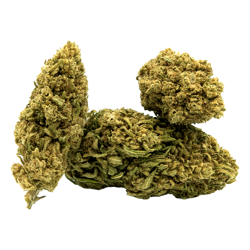 Fleurs CBD White Widow Sativa L _ Résineuse & Boisée _ calitop.fr