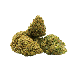 Fleurs CBD Lemon Kush  _ Arôme Citron & Pin _ calitop.fr