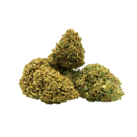 Fleurs CBD Lemon Kush  _ Arôme Citron & Pin _ calitop.fr