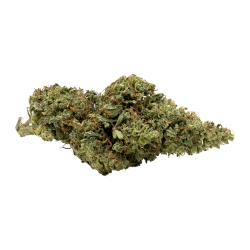 Mango Haze CBD 10% _ Fleur Greenhouse Italie _ calitop.fr