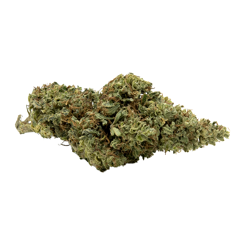 Mango Haze CBD 10% _ Fleur Greenhouse Italie _ calitop.fr