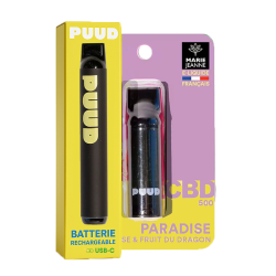 Puff Rechargeable _ Fraise Fruit du Dragon _ Kit Complet _ calitop