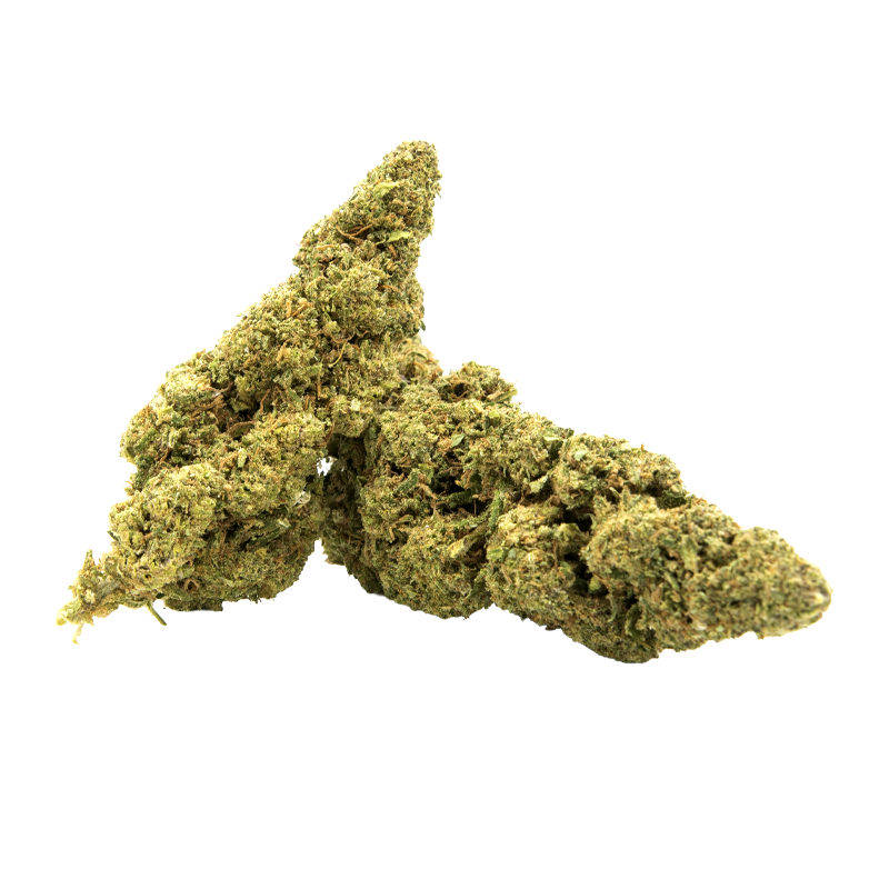 Fleurs de CBD LEMON KUSH 10 G taux de THC inférieur à 0,3%