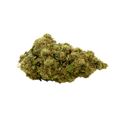 Fleurs de CBD MANGO HAZE 100g