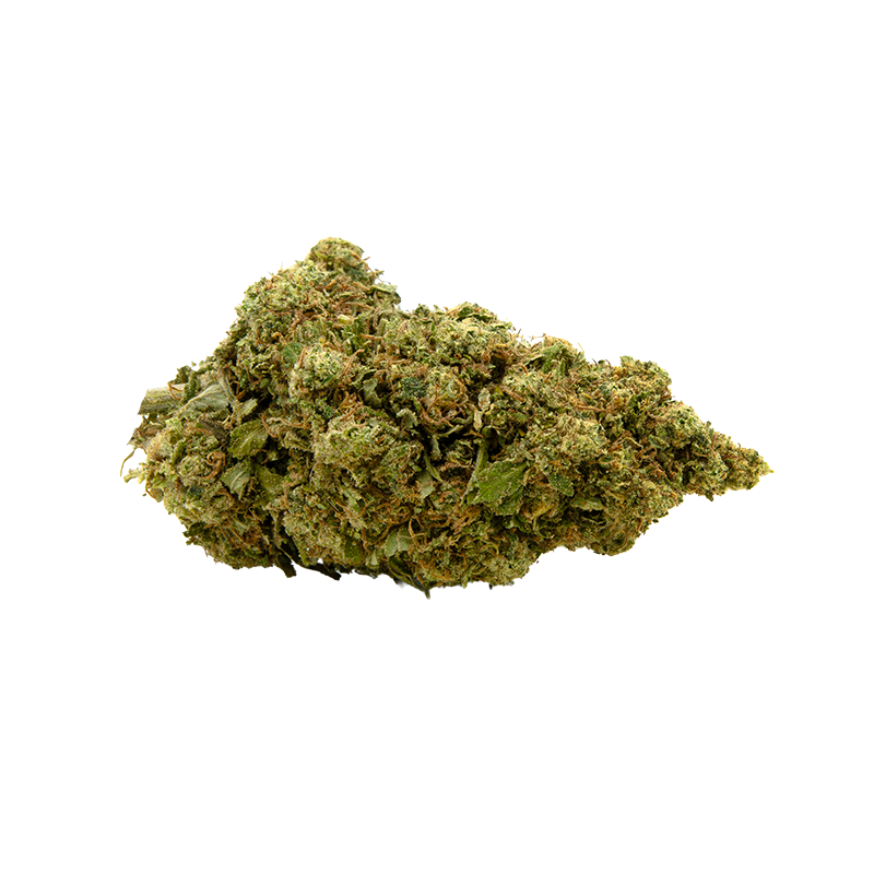 Fleurs de CBD MANGO HAZE 100g
