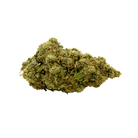 Fleurs de CBD MANGO HAZE 100g