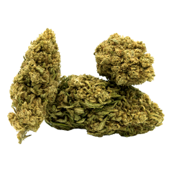 Fleurs de CBD White Widow 10G