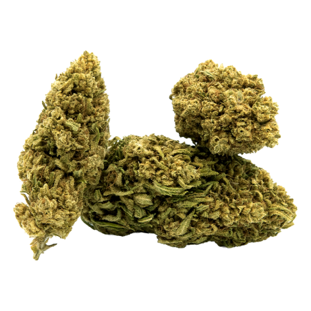 Fleurs de CBD White Widow 10G