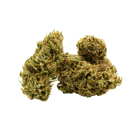 Fleurs CBD Trim Sour Diesel 10g