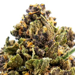 Fleurs de CBD Purple Haze Origine Italie _ Calitop